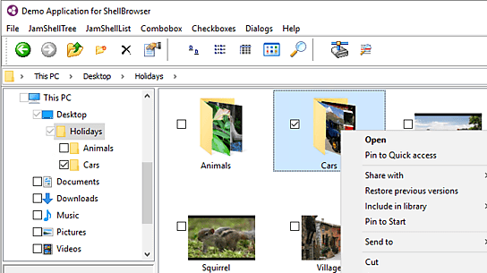 ShellBrowser Components Delphi Edition Screenshot 1