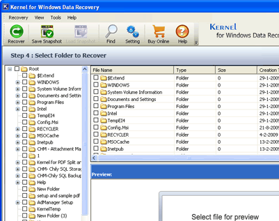 NTFS File Recovery Screenshot 1