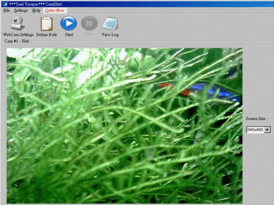 CamShot Monitoring Software Screenshot 1