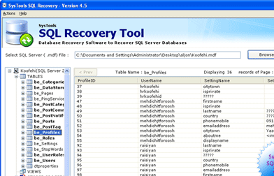 SQL Data Recovery Program Screenshot 1