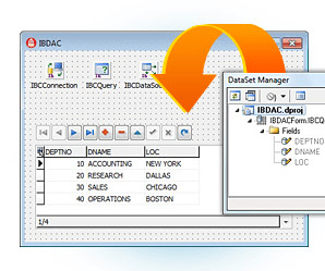 InterBase Data Access Components Screenshot 1