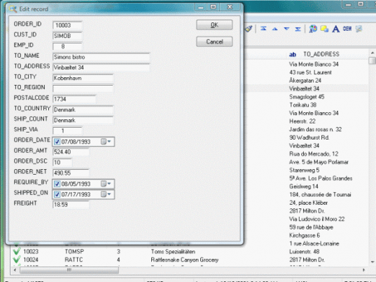 Advanced DBF Editor Screenshot 1