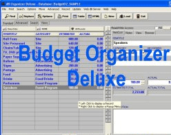 Budget Organizer Deluxe Screenshot 1