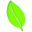 Leaf By Bendigo Design
