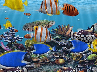 3D Fish School Screensaver Screenshot 1
