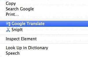 Google Translate Screenshot 1