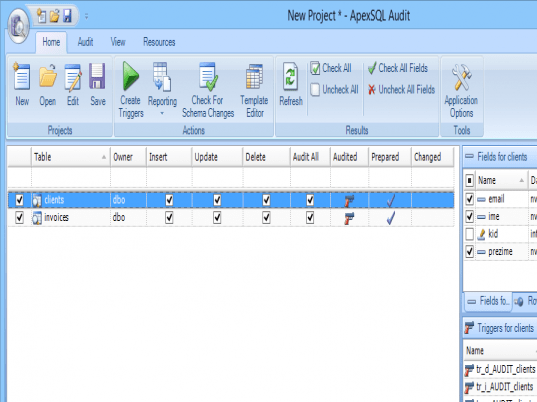 ApexSQL Audit Screenshot 1