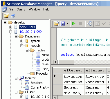 ScimoreDB Embedded Database Screenshot 1