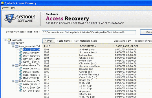 MS Access Data Recovery Tool Screenshot 1