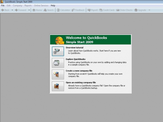 QuickBooks Pro Screenshot 1