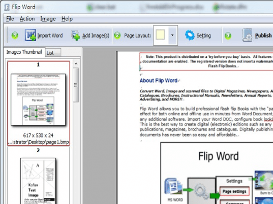 A-PDF Flip Word Screenshot 1