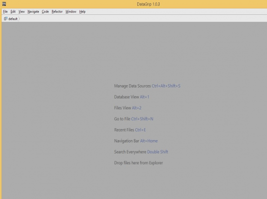 JetBrains DataGrip Screenshot 1
