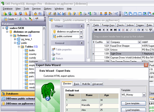 EMS PostgreSQL Manager Lite Screenshot 1