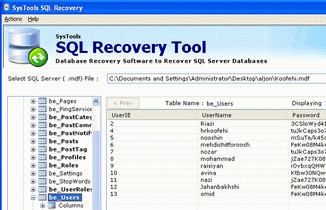 MS SQL Server Recovery Toolbox Screenshot 1