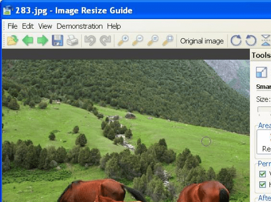 Image Resize Guide Screenshot 1