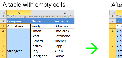 Fill Blank Cells for Microsoft Excel Screenshot 1