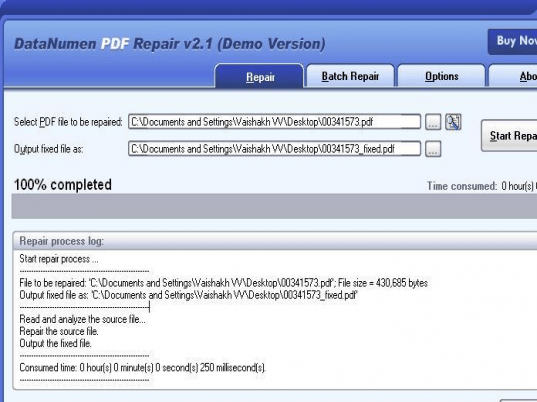 DataNumen PDF Repair Screenshot 1