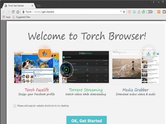 Torch Browser Screenshot 1
