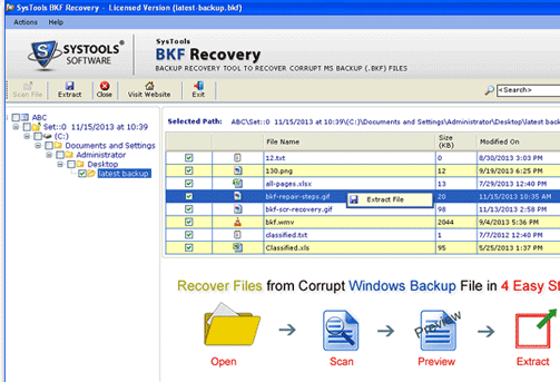 System MS Backup File Recovery Screenshot 1