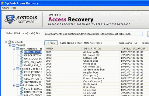 MS Access Database Recovery Screenshot 1