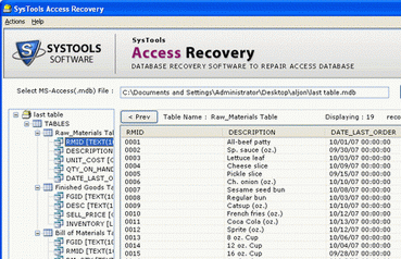 Access Recovery Tool to Salvage Data Screenshot 1