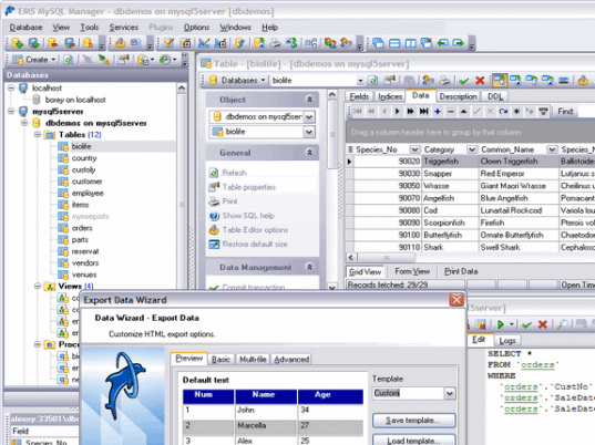 EMS SQL Manager for MySQL Freeware Screenshot 1