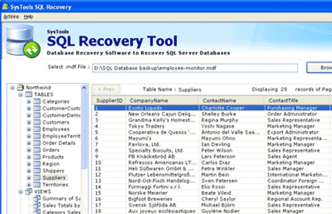 Open MS SQL Database Screenshot 1