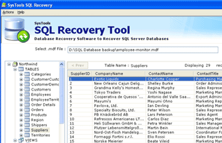 Software to Open SQL File Screenshot 1
