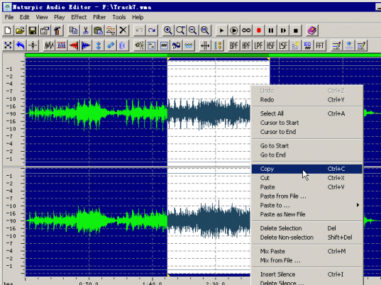 Naturpic Audio Editor Screenshot 1