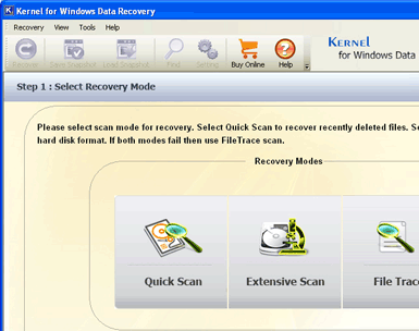 Kernel for NTFS - Data Recovery Software Screenshot 1