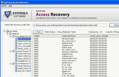 MS Access Recovery Software Screenshot 1