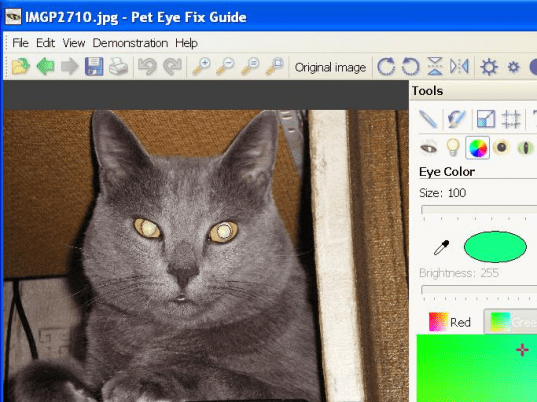 Pet Eye Fix Guide Screenshot 1