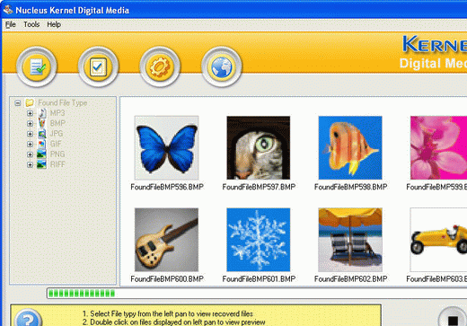 Nucleus Kernel Digital Media Recovery Software Screenshot 1