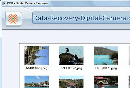Camera Recovery Screenshot 1