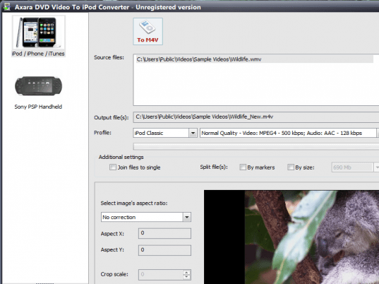DVD Video to iPod Converter Screenshot 1