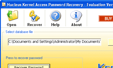 Kernel Access Password Recovery Software Screenshot 1