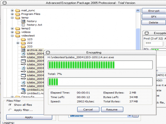 Advanced Encryption Package 2007 Professional Screenshot 1