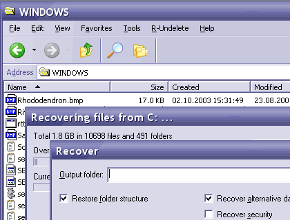 R-Undelete File Recovery Software Screenshot 1