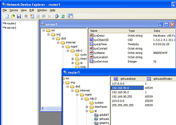 Network Device Explorer Screenshot 1