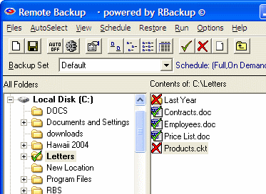 RBackup Online Backup for Service Providers Screenshot 1