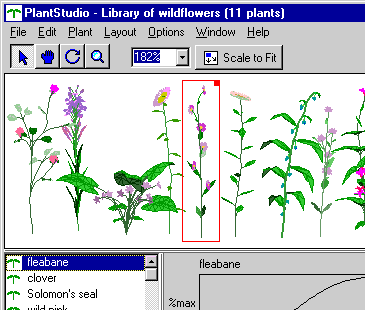 PlantStudio(TM) Botanical Illustration Software Screenshot 1