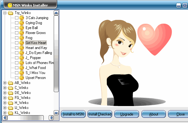 MSN Winks Installer Screenshot 1