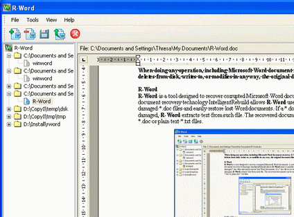 R-Word Recovery Software Screenshot 1