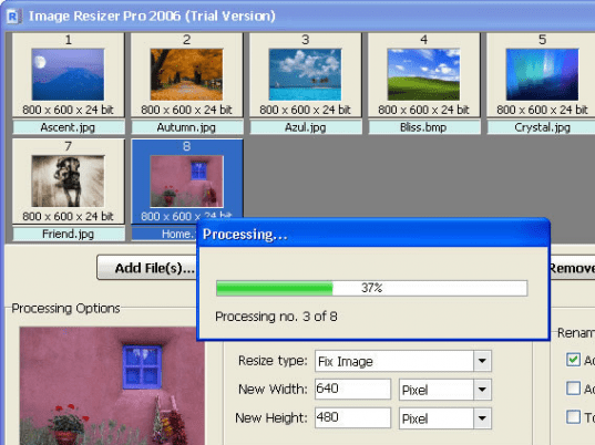 Image Resizer Pro 2005 Screenshot 1