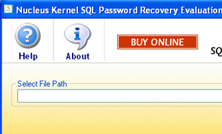 SQL Server Password Recovery Screenshot 1
