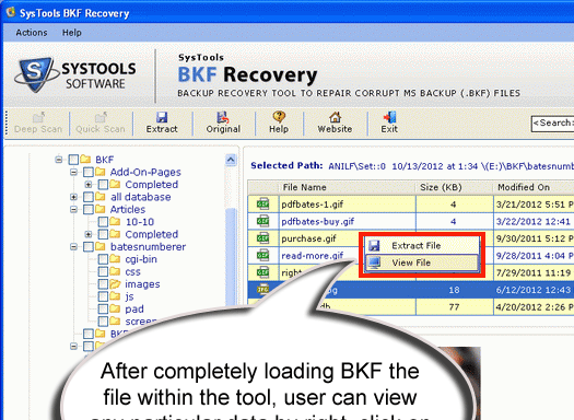 Excellent BKF Repair Tool Screenshot 1