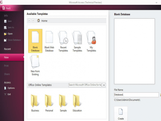 Microsoft Office Access Screenshot 1