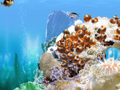 White Reef - 3D Screen Saver Screenshot 1