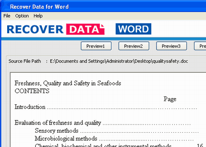 Word Document Recovery Screenshot 1