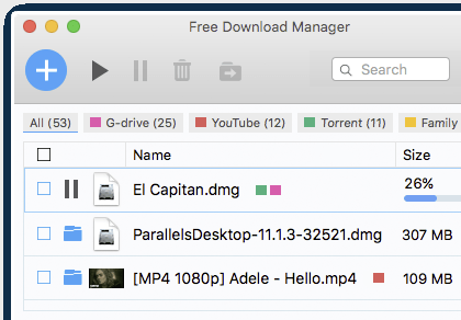 Free Download Manager Screenshot 1